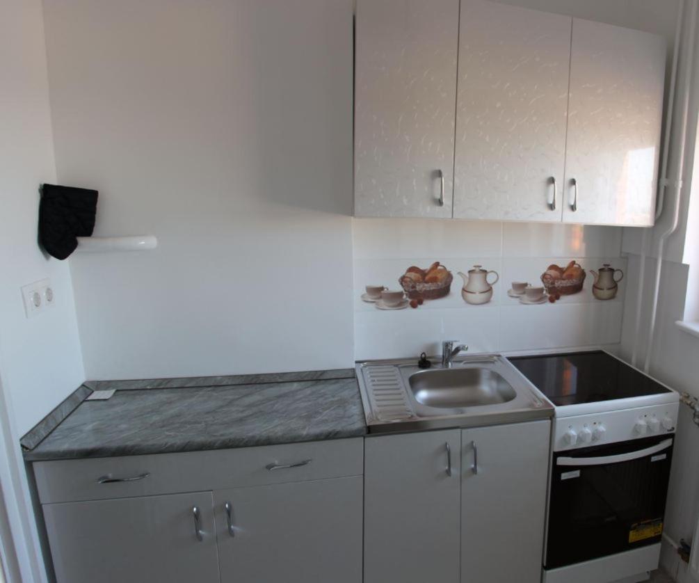 Balint Apartman - In The Heart Of Miskolc Dış mekan fotoğraf